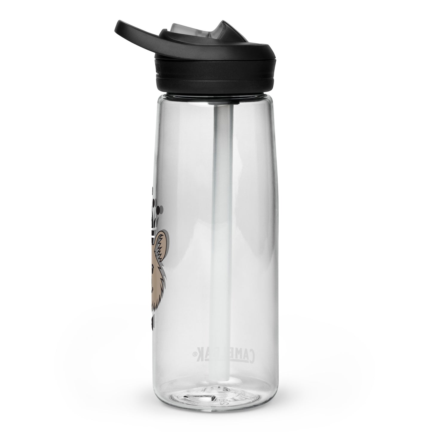 Sports water bottle
